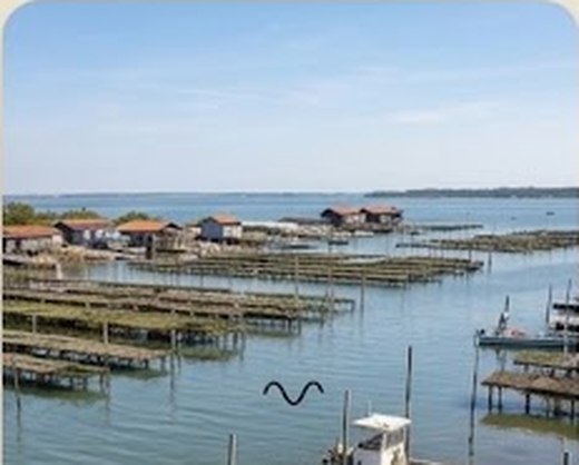 Ostéopathe à domicile à Gujan-Mestras — ports ostréicoles